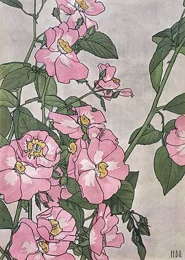Pink Roses Botanical Art Print