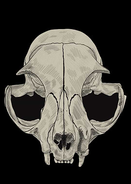 Cat Skull