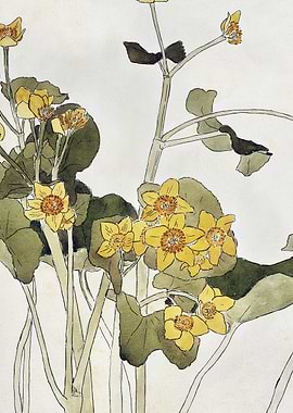 Marsh Marigold Watercolor Painting