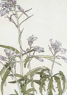 Floral Illustration with Pink Flowers