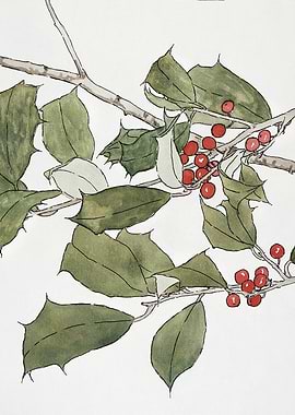 Watercolor Holly Branch with Red Berries