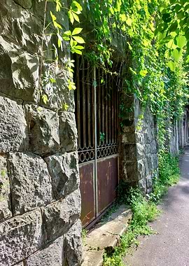 Stone wall with gate and vines