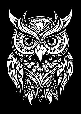Ornate White Owl on Black Background