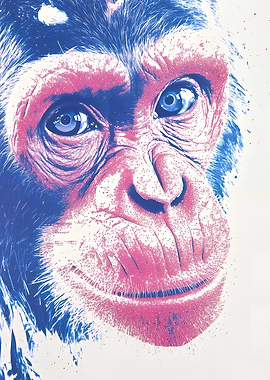 Chimpanzee Portrait in Blue and Pink