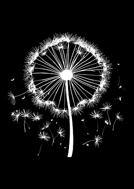 Dandelion Silhouette on Black Background