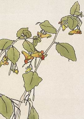 Vintage Floral Illustration with Green Leaves