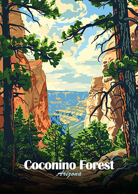 Coconino Forest Arizona Landscape Art
