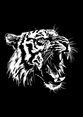 White Tiger Roaring on Black Background