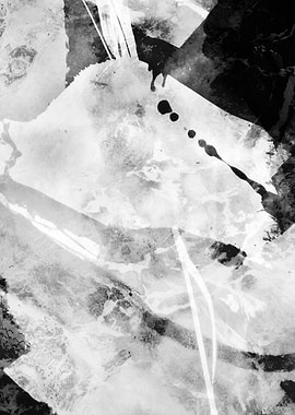 Abstract Black and White Ink