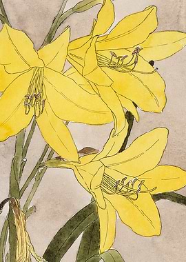 Yellow Lily Watercolor Painting