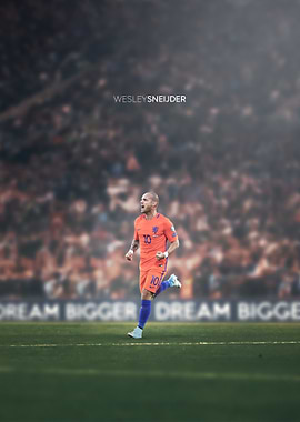 Wesley Sneijder Soccer Celebration
