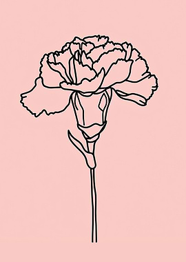 Carnation Flower Minimalist Line art