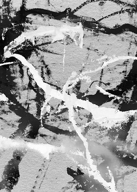 Abstract Black and White Art