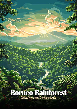 Borneo Rainforest, Malaysia/Indonesia