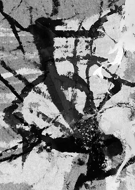 Abstract Black and White Ink Painting