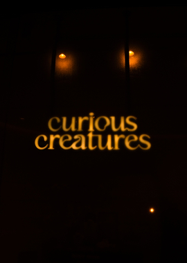 Curious Creatures
