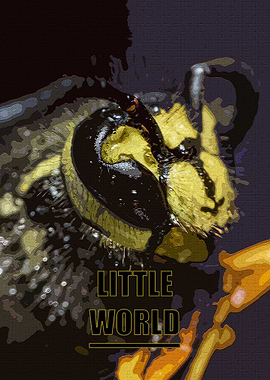 Wasp Close-Up: Little World