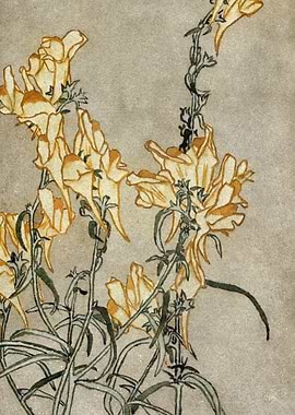 Floral Art: Yellow Snapdragon Flowers
