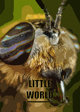 Macro Bee 'Little World' Art