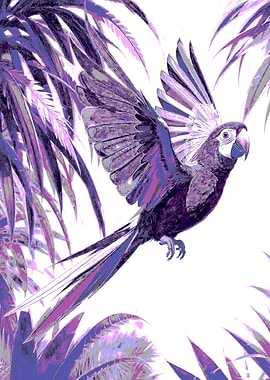 Amazing Parrot in Flight