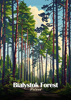 Bialystok Forest Poland Art Print