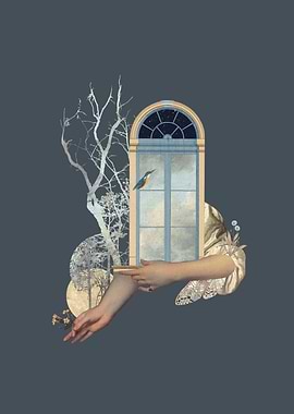 reflections of a cold morning