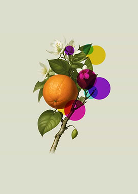 Orange Branch with Flowers and Circles