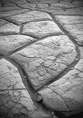 Cracked Earth Texture in Black and White