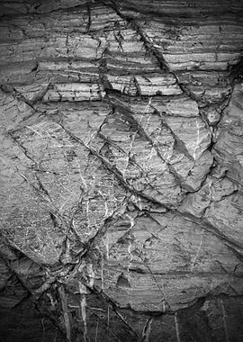 Monochrome Rock Texture