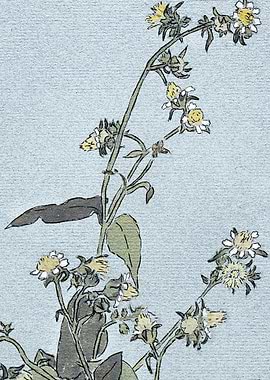 Floral Illustration with Yellow and White Flowers