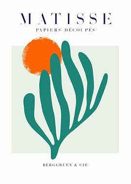 Matisse | Sun + Coral T15