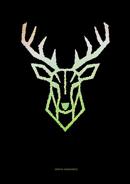 Geometric Deer Head Illustration
