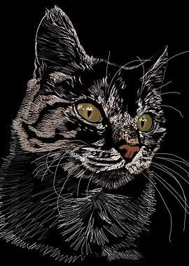 'Toes' Jamie's Hand-Drawn Cat Collection