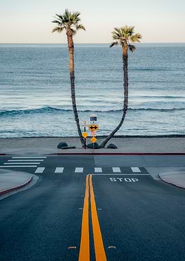 Coastal Road with Palm Trees, California