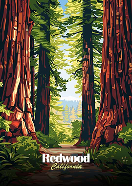 Redwood California Forest Illustration