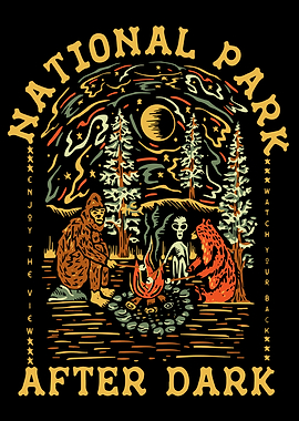 National Park After Dark Illustration