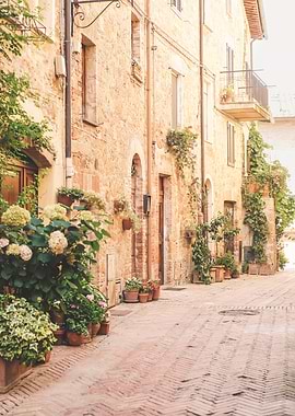 Tuscany, Italy I Blooming alley in Pienza village with plants flowers under pastel warm summer light rustic Italian street photography with Mediterranean countryside charm, floral beauty, la dolce vita