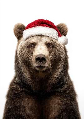 Bear with Santa Hat Portrait