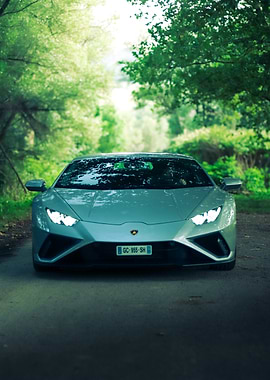 Lambo in the forest