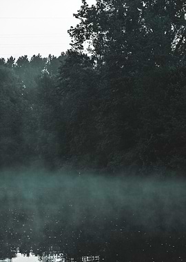 Misty Lake Landscape