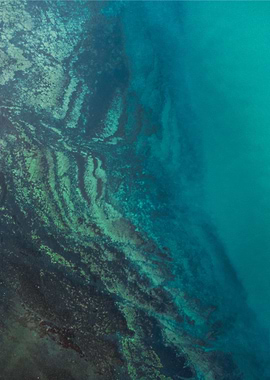 Coastals water of Normandy