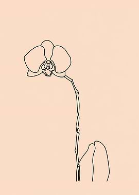 Orchid Flower Minimalist Line Art