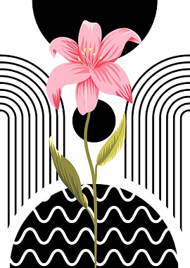 Pink Lily with Geometric Background