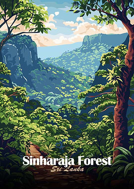 Sinharaja Forest, Sri Lanka Illustration