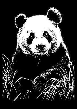 Panda Portrait in Black and White