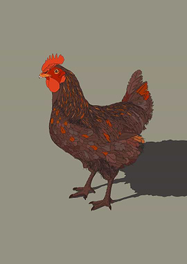 Detailed Chicken Illustration on Neutral Background