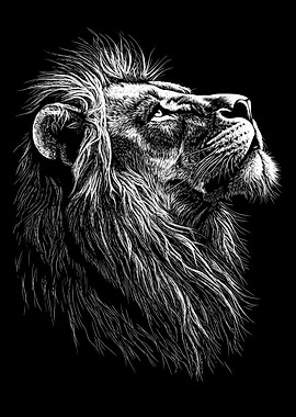 Lion Head Black and White Illustration