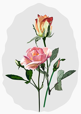 Roses Bouquet Illustration