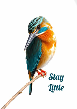 Colorful Kingfisher Bird on Branch