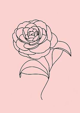 Minimalist Rose Line Art on Pink